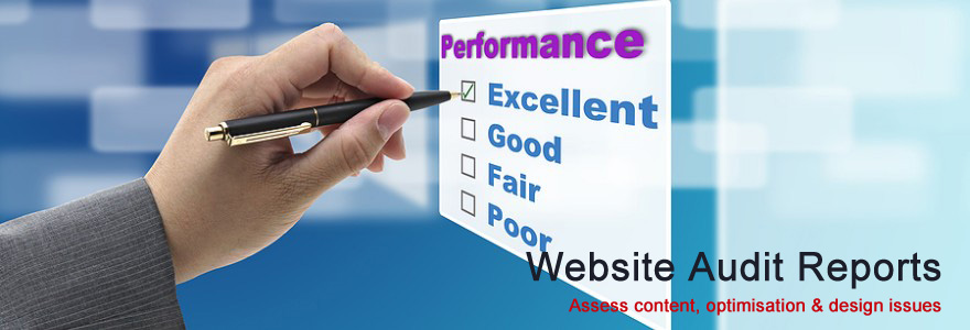 website audit